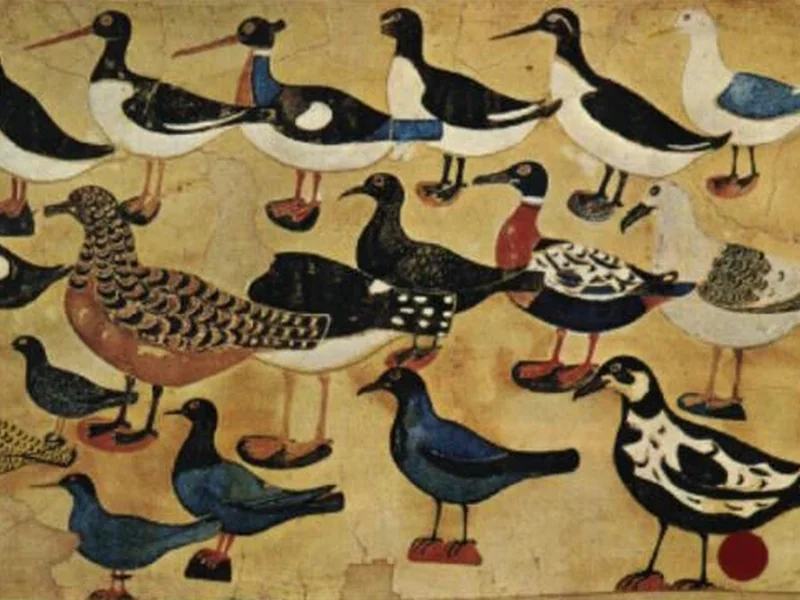 1802-Díðrikur á Skarvanesi - Uccelli